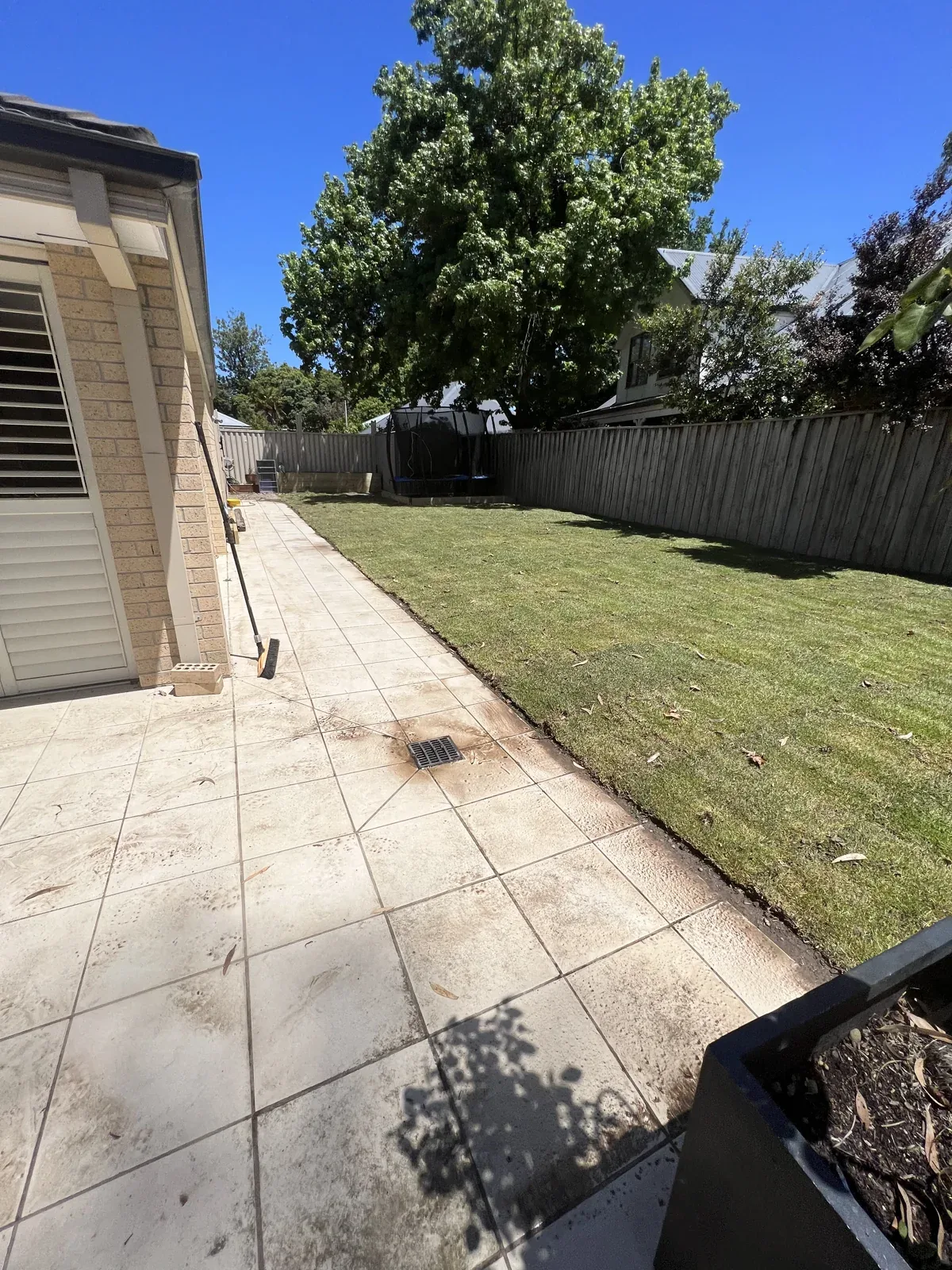 Fresh lawn beside a paved patio and mature trees