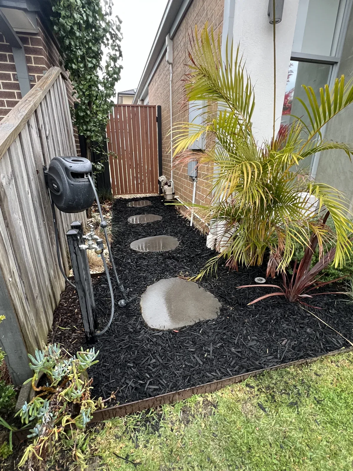 Circular stepping stones through a mulched garden with palms and layered planting